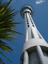 the sky tower in downtown